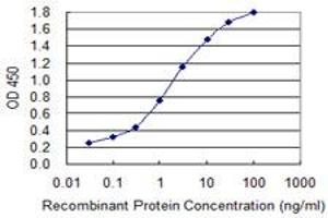 Detection limit for recombinant GST tagged ALAS1 is 0. (ALAS1 antibody  (AA 1-98))
