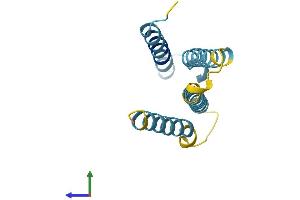 AlphaFold protein structure predicition of Human Recombinant TMEM60 Protein, UniprotID Q9H2L4 (TMEM60 Protein (AA 1-133) (His tag))