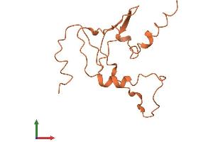 AlphaFold protein structure predicition of Human Recombinant LINC01600 Protein, UniprotID Q96MT4 (C6ORF195 Protein (AA 1-127) (His tag))
