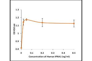 IFNA1 Protein