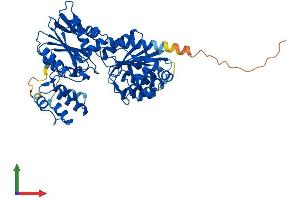 AlphaFold protein structure predicition of Human Recombinant GLYCTK Protein, UniprotID Q8IVS8 (GLYCTK Protein (AA 1-523) (His tag))
