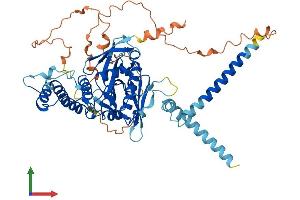 AlphaFold protein structure predicition of Human Recombinant FRMD5 Protein, UniprotID Q7Z6J6 (FRMD5 Protein (AA 1-570) (His tag))