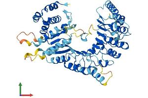 AlphaFold protein structure predicition of Human Recombinant LRRC14 Protein, UniprotID Q15048
