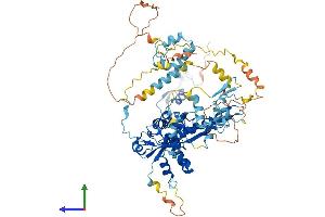 AlphaFold protein structure predicition of Human Recombinant FBXO40 Protein, UniprotID Q9UH90 (FBXO40 Protein (AA 1-709) (His tag))