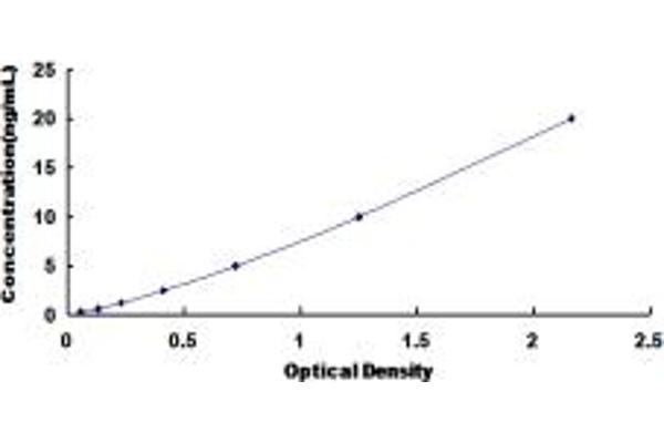 FZD6 ELISA Kit