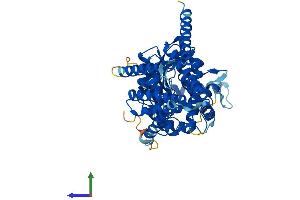 AlphaFold protein structure predicition of Human Recombinant HAS3 Protein, UniprotID O00219
