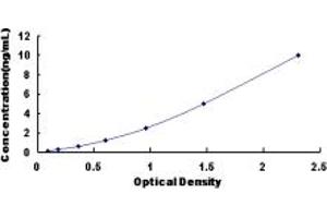 Typical standard curve (PRKG1 ELISA Kit)