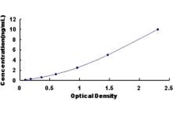 PRKG1 ELISA Kit