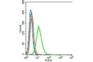 RSC96 cells probed with CD47/MER6 Polyclonal Antibody, Unconjugated  at 1:100 for 30 minutes followed by incubation with a PE conjugated secondary (green) for 30 minutes compared to control cells (blue), secondary only (light blue) and isotype control (orange).