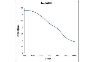 Antigen: 0. (PAPPA antibody  (AA 1321-1460))