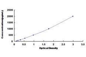 Growth Differentiation Factor 1 (GDF1) ELISA Kit
