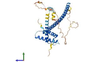 AlphaFold protein structure predicition of Mouse Recombinant Fsbp Protein, UniprotID Q8BKE5 (FSBP Protein (AA 1-299) (His tag))