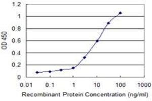 Detection limit for recombinant GST tagged GRM1 is 0. (Metabotropic Glutamate Receptor 1 antibody  (AA 387-486))