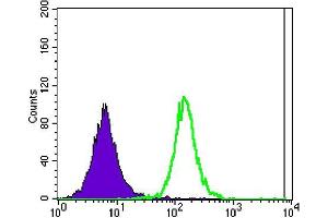 Flow cytometric analysis of Jurkat cells using ATXN1 mouse mAb (green) and negative control (purple). (Ataxin 1 antibody)