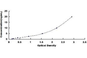 Typical standard curve (NQO1 ELISA Kit)