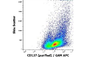 Flow cytometry surface staining pattern of human PHA stimulated peripheral blood mononuclear cell suspension stained using anti-humam CD137 (4B4-1) purified antibody (concentration in sample 4 μg/mL) GAM APC. (CD137 antibody)