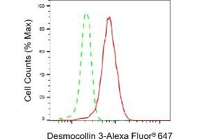 Flow cytometric analysis of Desmocollin 3 expression in HeLa cells using Desmocollin 3 antibody (ABIN7798316), 1:2,000). (Recombinant Desmocollin 3 antibody)