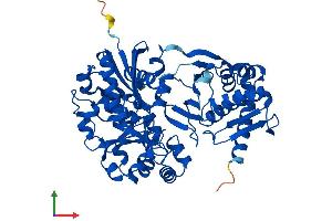 Protein Structure (PS) image for Xylulokinase (XYLB) (AA 1-536) protein (His tag) (ABIN7545201)