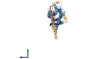 AlphaFold protein structure predicition of Mouse Recombinant Hcrtr2 Protein, UniprotID P58308
