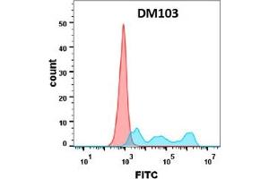 Flow cytometry analysis with Anti-CD30 (DM103) on Expi293 cells transfected with human CD30 (Blue histogram) or Expi293 transfected with irrelevant protein (Red histogram). (TNFRSF8 antibody  (AA 19-379))