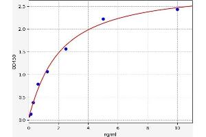 Typical standard curve (Nicotinic Acetylcholine Receptor (CHRN) ELISA Kit)