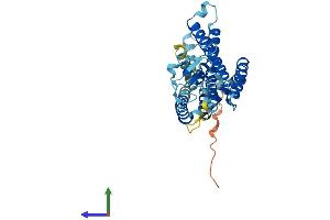 AlphaFold protein structure predicition of Human Recombinant RNF175 Protein, UniprotID Q8N4F7 (RNF175 Protein (AA 1-328) (His tag))