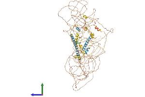 AlphaFold protein structure predicition of Mouse Recombinant Nrip1 Protein, UniprotID Q8CBD1