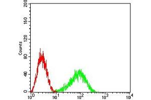 Flow cytometric analysis of HL-60 cells using FCGRT mouse mAb (green) and negative control (red). (FcRn antibody  (AA 24-297))
