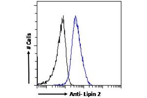 ABIN185361 Flow cytometric analysis of paraformaldehyde fixed A431 cells (blue line), permeabilized with 0. (Lipin 2 antibody  (C-Term))