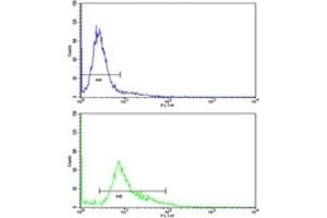 Flow Cytometry (FACS) image for anti-Wingless-Type MMTV Integration Site Family, Member 4 (WNT4) (AA 242-269) antibody (ABIN3029632)