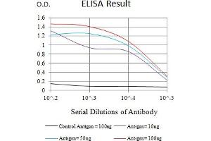 Black line: Control Antigen (100 ng),Purple line: Antigen (10 ng), Blue line: Antigen (50 ng), Red line:Antigen (100 ng) (BTN1A1 antibody  (AA 27-242))