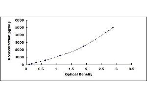 Typical standard curve (IgA ELISA Kit)