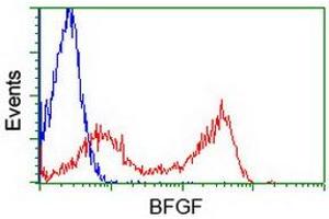 Image no. 2 for anti-Fibroblast Growth Factor 2 (Basic) (FGF2) (AA 10-155) antibody (ABIN1490784) (FGF2 antibody  (AA 10-155))