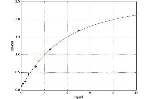 A typical standard curve (FERMT3 ELISA Kit)