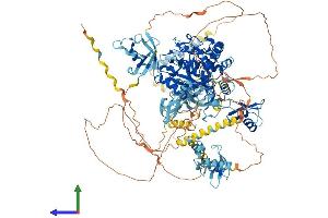 AlphaFold protein structure predicition of Human Recombinant VCPIP1 Protein, UniprotID Q96JH7 (Vcpip1 Protein (AA 1-1222) (His tag))