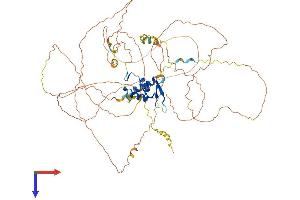 FOXO3 Protein (AA 1-673) (His tag)