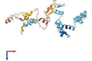 Protein Structure (PS) image for Zinc Finger Protein 705A (ZNF705A) (AA 1-300) protein (His tag) (ABIN7545238)