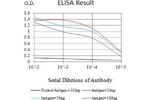 Black line: Control Antigen (100 ng),Purple line: Antigen (10 ng), Blue line: Antigen (50 ng), Red line:Antigen (100 ng) (LILRB1 antibody  (AA 338-461))