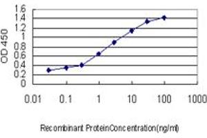 Detection limit for recombinant GST tagged REV1L is approximately 0. (ACBD3 antibody  (AA 73-171))