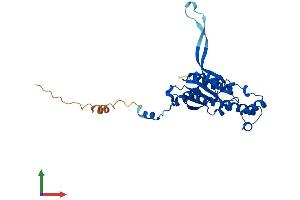 Protein Structure (PS) image for tRNA-Histidine Guanylyltransferase 1-Like (THG1L) (AA 1-298) protein (His tag) (ABIN7544405)
