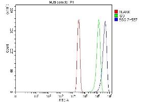 Flow Cytometry analysis of SiHa cells using anti-CD147/Emmprin antibody (ABIN7599999). (CD147 antibody  (AA 138-323))