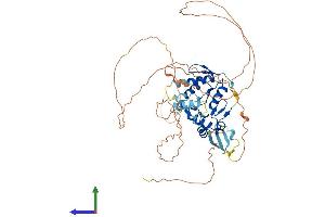 Protein Structure (PS) image for Zinc Finger Protein 280A (ZNF280A) (AA 1-542) protein (His tag) (ABIN7545713)