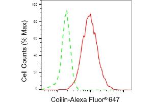 Flow cytometric analysis of Coilin expression in HepG2 cells using Coilin antibody (ABIN7798119), 1:2,000). (Recombinant Coilin antibody)