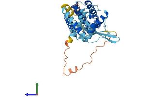 AlphaFold protein structure predicition of Mouse Recombinant Parvg Protein, UniprotID Q9ERD8 (PARVG Protein (AA 1-331) (His tag))