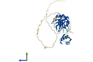 Protein Structure (PS) image for TIA1 Cytotoxic Granule-Associated RNA Binding Protein-Like 1 (TIAL1) (AA 1-375) protein (His tag) (ABIN7544377)