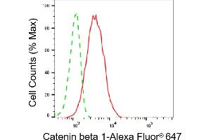 Flow cytometric analysis of Catenin beta 1 expression in C2C12 cells using Catenin beta 1 antibody (ABIN7797931), 1:2,000). (CTNNB1 antibody)