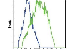 Flow cytometric analysis of HCC827 cells, untransfected (blue) or transfected with GFP (green), using GFP mouse mAb . (GFP antibody)