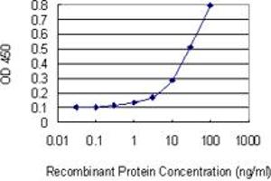 Detection limit for recombinant GST tagged GEMIN4 is 1 ng/ml as a capture antibody. (GEMIN4 antibody  (AA 959-1057))