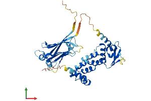 AlphaFold protein structure predicition of Mouse Recombinant Gm9125 Protein, UniprotID P0DMR6