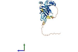 AlphaFold protein structure predicition of Human Recombinant ITGB1BP2 Protein, UniprotID Q9UKP3